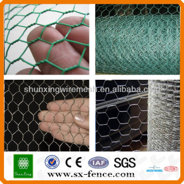 Malha de arame hexagonal para gaiola de aves (ISO9001: 2008 fabricante profissional)